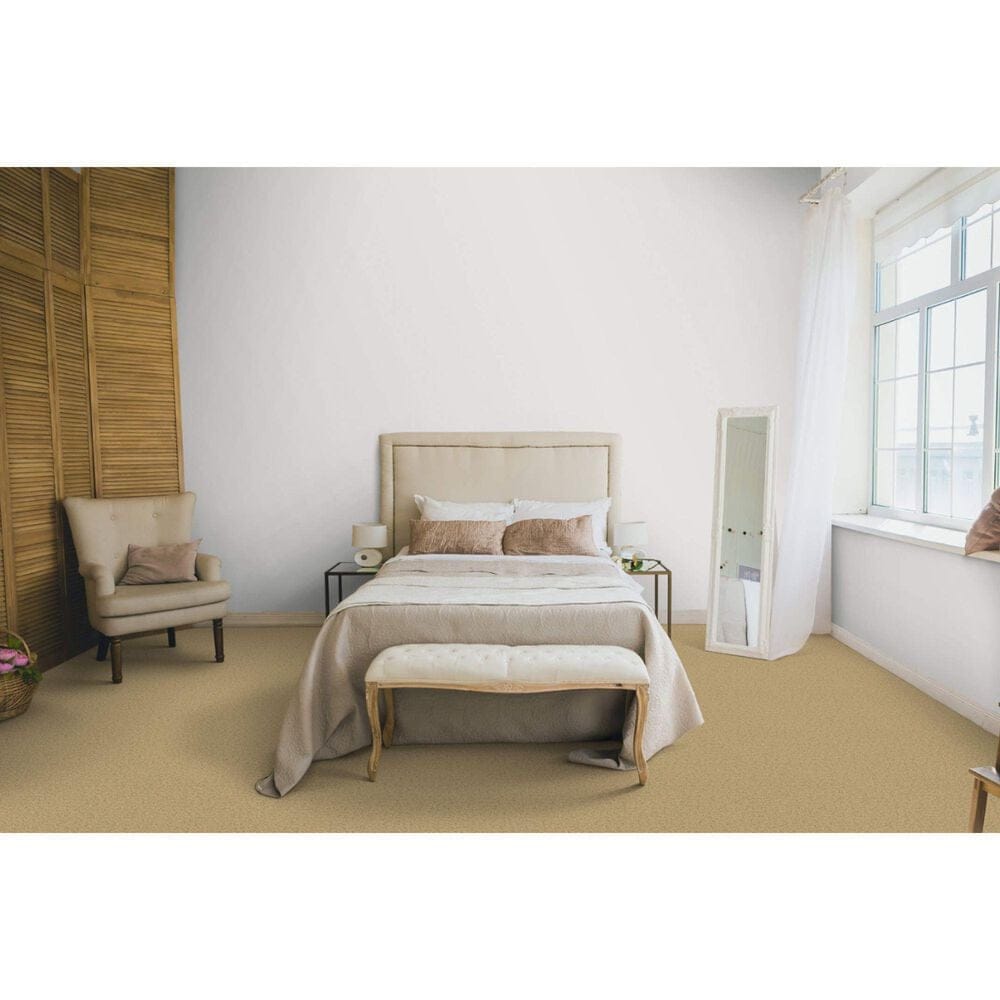 Dixie Home Simplicity Carpet in Pepper Spice, , large