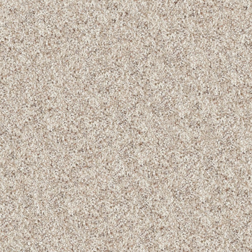 Dixie Home Swiss Alpine Carpet in Pet, , large