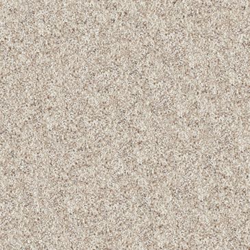 Dixie Home Swiss Alpine Carpet in Pet, , large