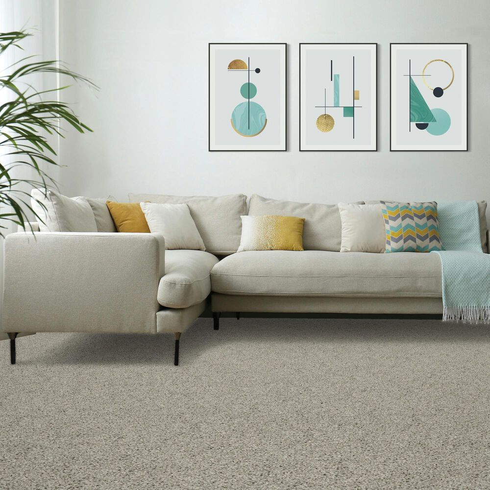 Mohawk Diffurent Choice III Carpet in Mercury, , large