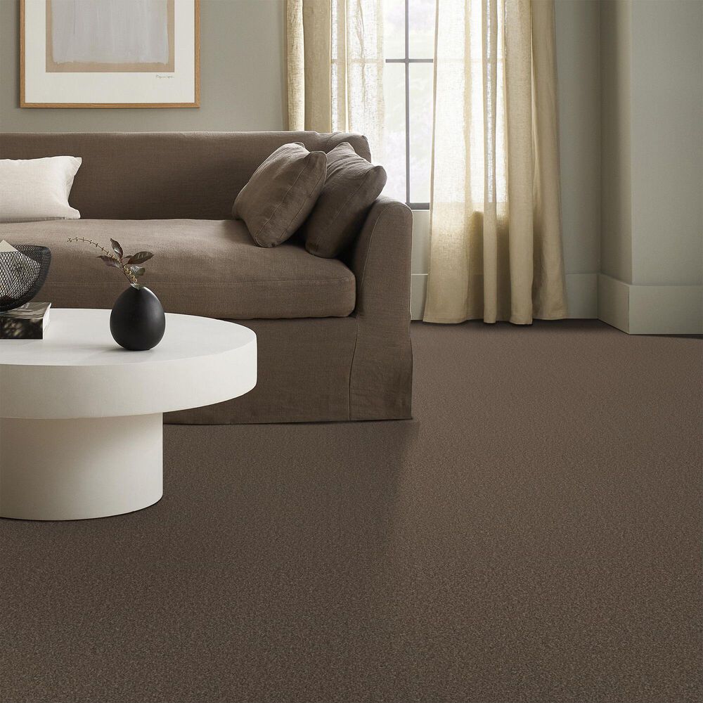 Anderson Tuftex Cypress Falls Carpet in Grizzly, , large