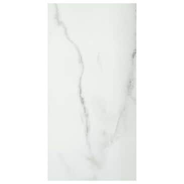 Emser Visconde Silver 12" x 24" Matte Porcelain Tile, , large