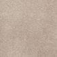 Mohawk Impressive Notion Carpet in Melted Caramel, , large
