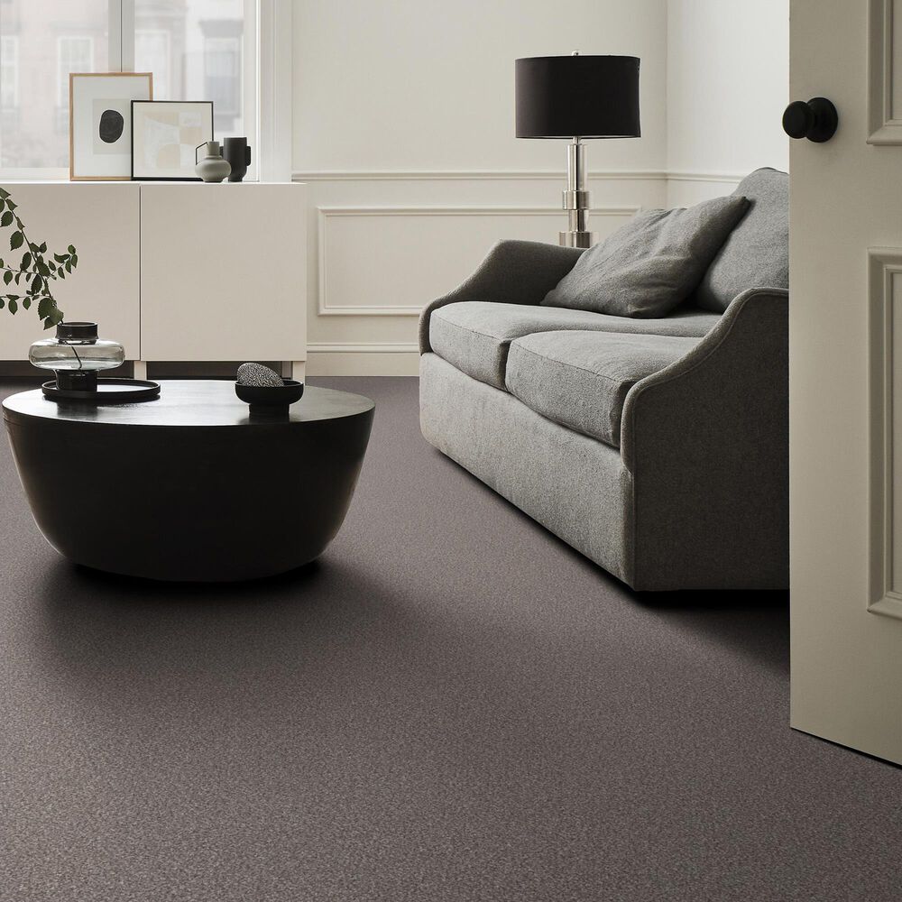 Shaw Truspirit Ii Carpet in Stainless, , large