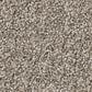 Shaw Affirmation II Carpet in Vitage Pewter, , large