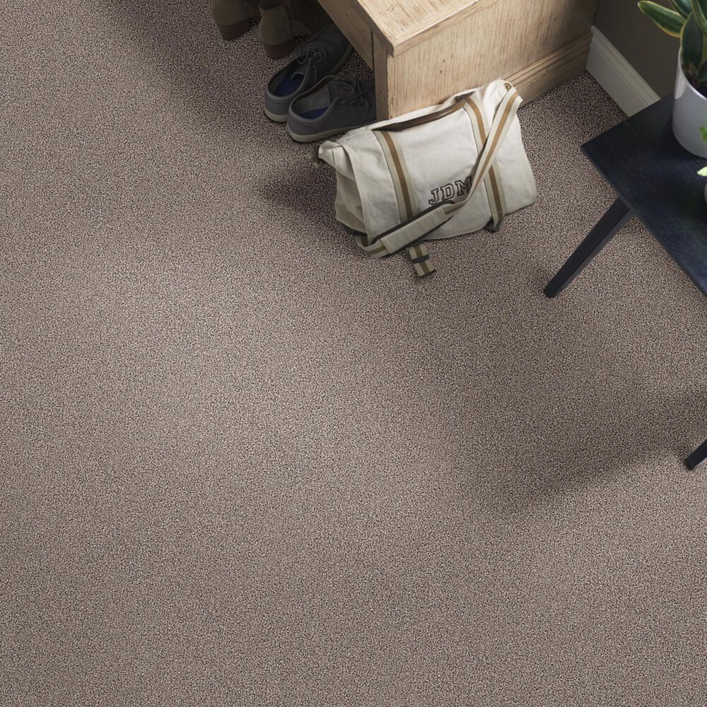 Shaw Foundations Take The Floor Tonal I Carpet in Tundra, , large