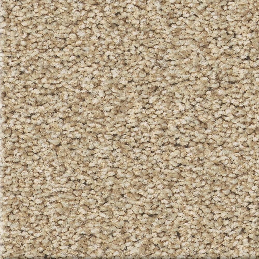 Shaw Tonal Comfort II Carpet in Sun Kissed, , large