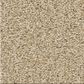 Shaw Tonal Comfort II Carpet in Sun Kissed, , large