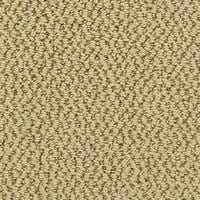 Swatch of Brown Pattern and Loop Style Carpet