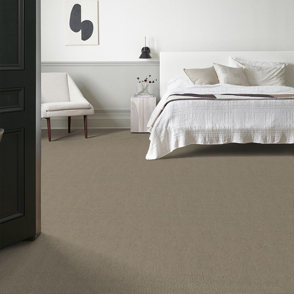 Anderson Tuftex Inspired Carpet in Clay, , large