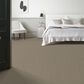 Anderson Tuftex Inspired Carpet in Clay, , large