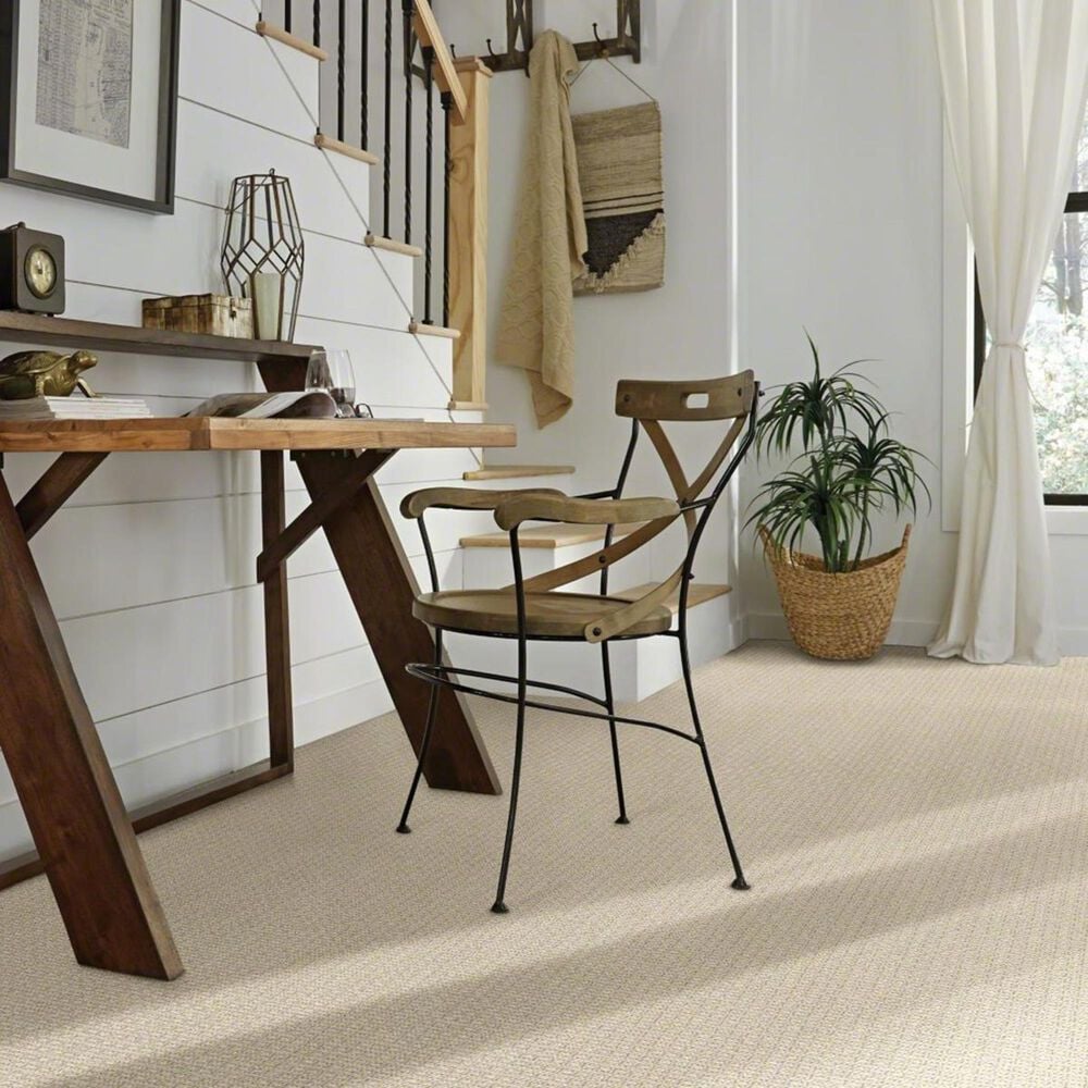 Anderson Tuftex Fetch Carpet in Birch, , large