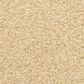 Dixie Home Escalante Carpet in Camel, , large
