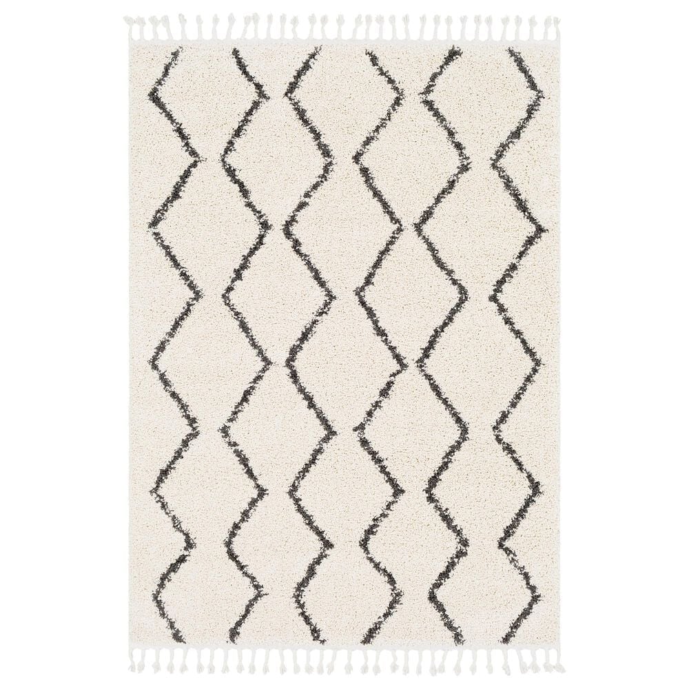 Surya Berber Shag BBE2303 6"7" x 9" Charcoal and Beige Area Rug, , large