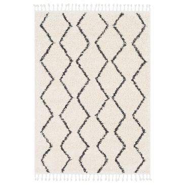 Surya Berber Shag BBE2303 6"7" x 9" Charcoal and Beige Area Rug, , large