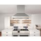 Zephyr Titan 48" Externally Vented Island Range Hood with TruHue in Stainless Steel, , large