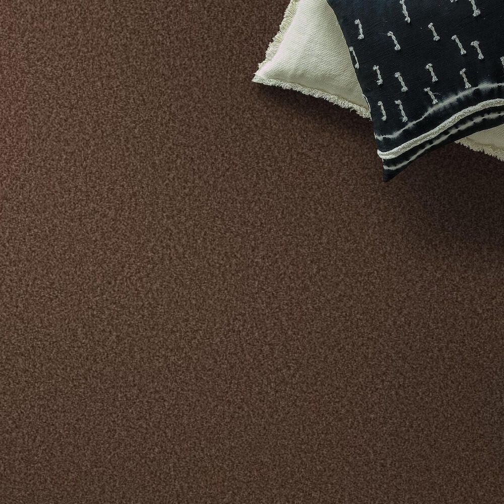 Shaw Tonal Comfort I Carpet in Chili, , large