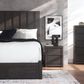Ashley Fraluna 2-Drawer Nightstand in Dark Charcoal, , large