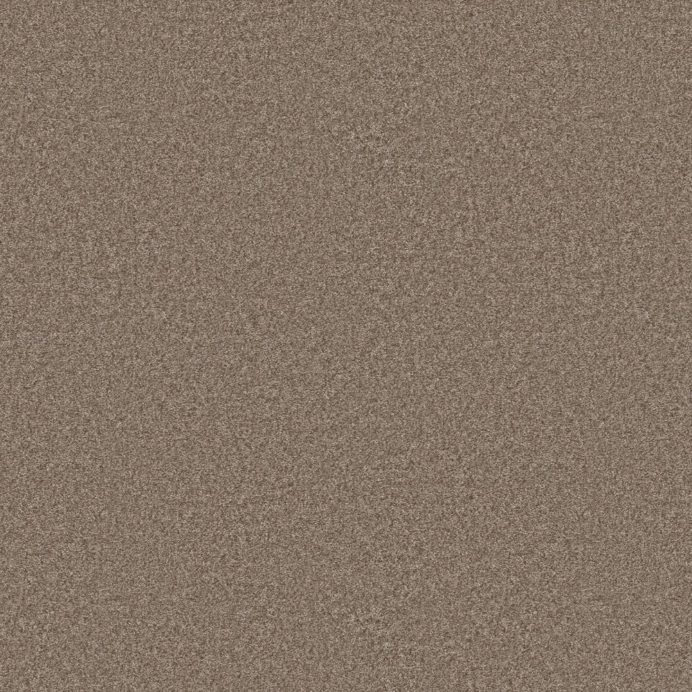 Shaw You Got This I Carpet in Cameo, , large