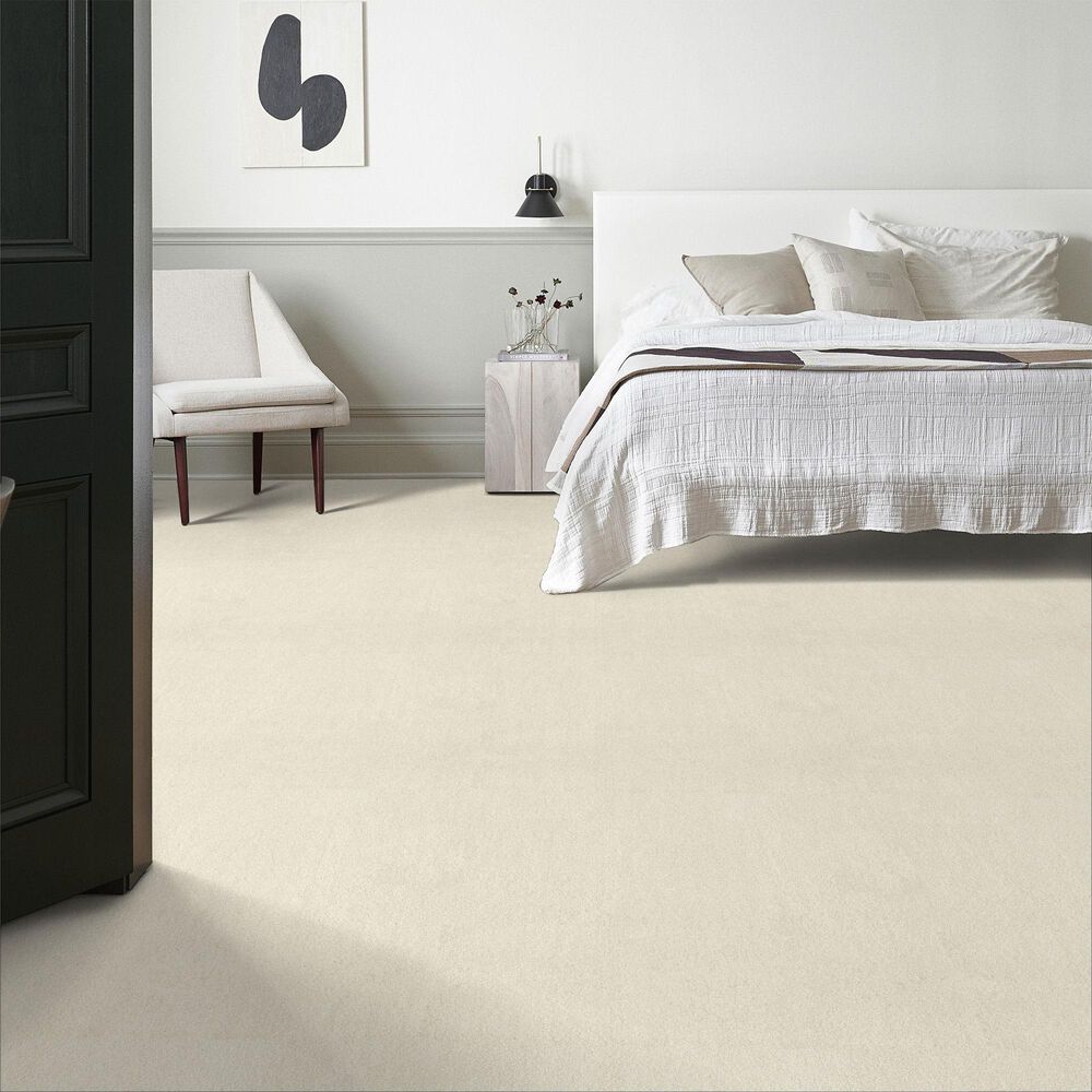 Anderson Tuftex Luxe Feel II Carpet in Icelandic, , large