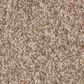 Anderson Tuftex Bossa Nova Carpet in Potter"s Clay, , large