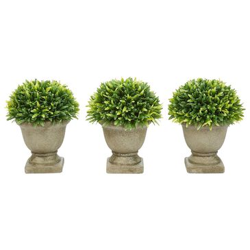 37B Pure Garden 7.5" Potted Podocarpus in Garden Green, , large
