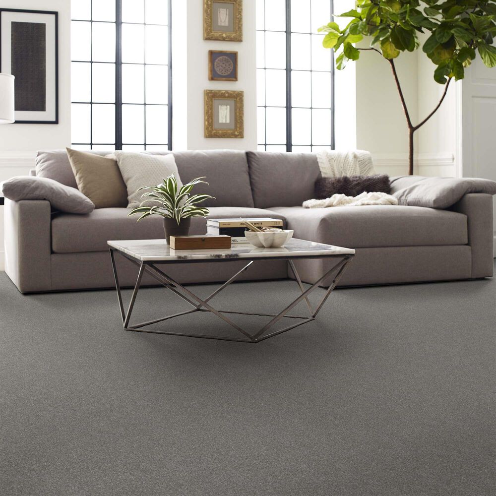 Shaw Go After It I Carpet in Etched, , large