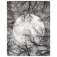 Nourison Twilight 7"9" x 9"9" Moon Area Rug, , large