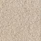 Anderson Tuftex Luxe Feel II Carpet in Sunlit, , large