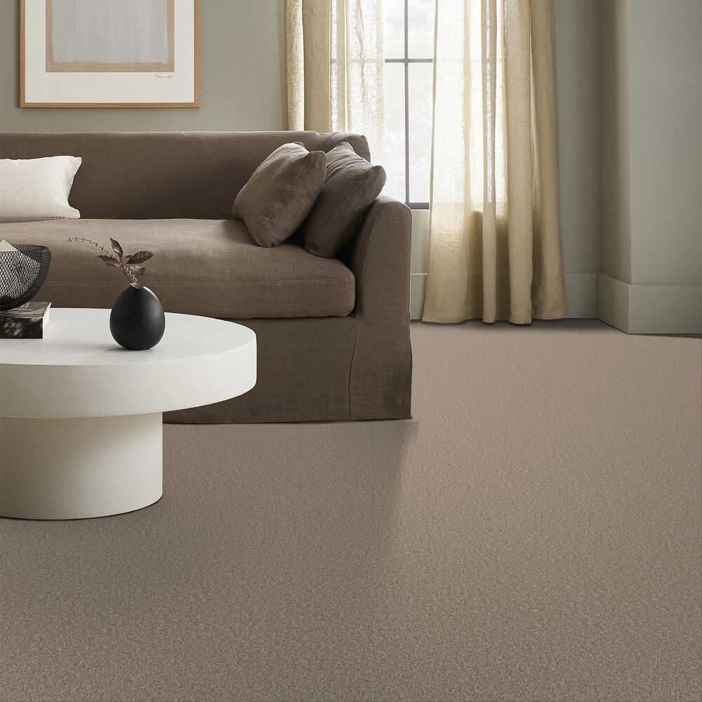 Shaw Pet Perfect Bold Move Carpet in Camel, , large