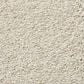 Shaw Find Your Comfort NS I Carpet in Need a Hug, , large