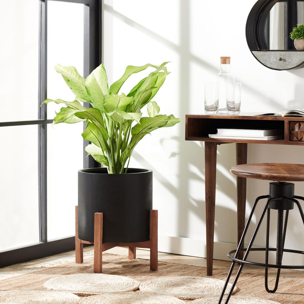 Safavieh Jesper Patio Planter in Natural/Black, , large