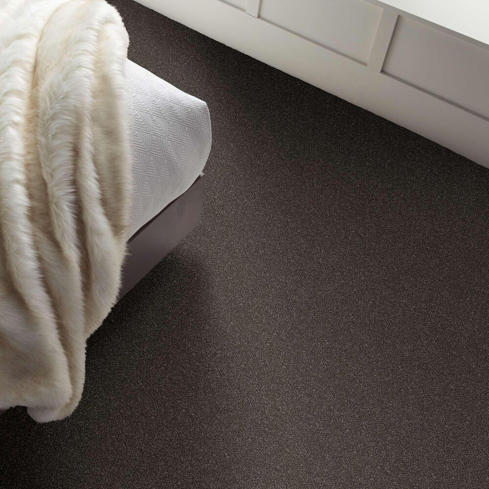 Shaw Without Limits II Carpet in Derby, , large