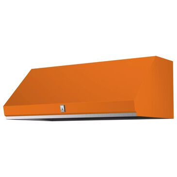 Hestan 48" Externally Vented Outdoor Range Hood in Citra, , large