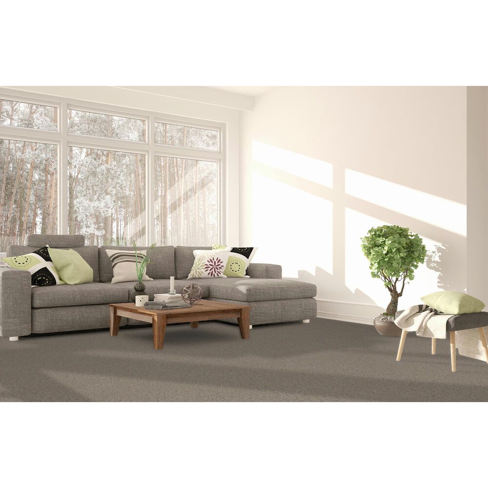 Dream Weaver Serene III Carpet in Cottondale, , large