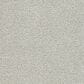 Dream Weaver Breakview I Carpet in Shelburne, , large