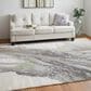Feizy Clio 3"10" x 6" Gray and Multicolor Area Rug, , large