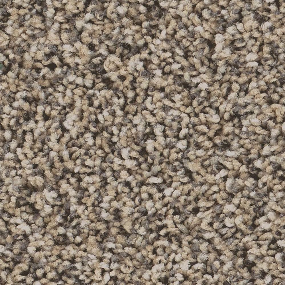 Philadelphia Bold Move Plus Carpet in Wet Sand, , large