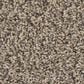 Philadelphia Bold Move Plus Carpet in Wet Sand, , large