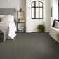 Shaw Austin Park Carpet in Cedar Glen, , large