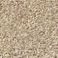 Shaw Tonal Comfort I Carpet in Walk On The Beach, , large