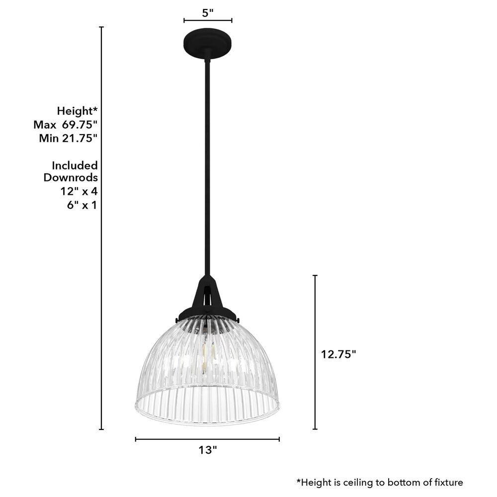 Hunter Cypress Grove 13&quot; 1-Light Pendant in Natural Iron, , large