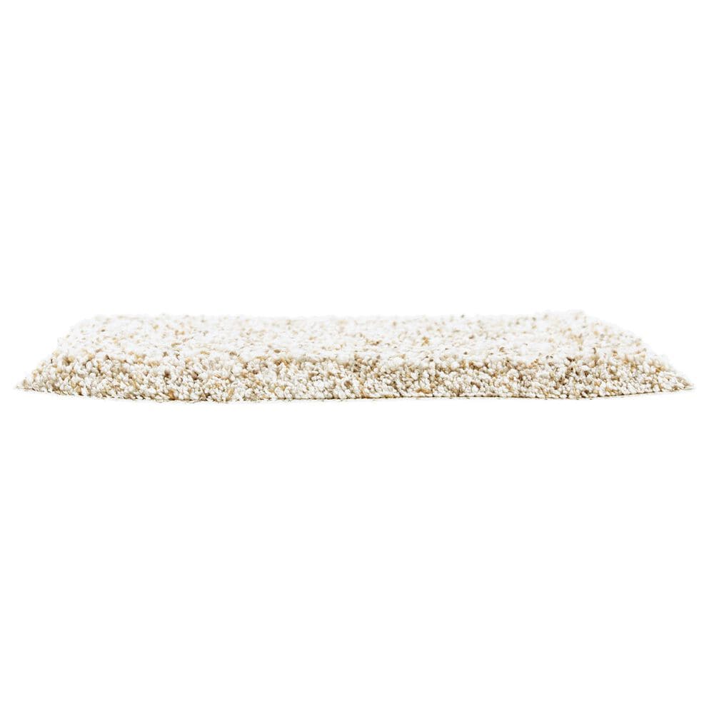 Mohawk Exquisite Appeal Carpet in Beach House, , large