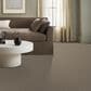 Anderson Tuftex Avalon Bay Carpet in Chic Taupe, , large