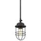 Golden Lighting Seaport 1-Light Mini Pendant in Matte Black, , large