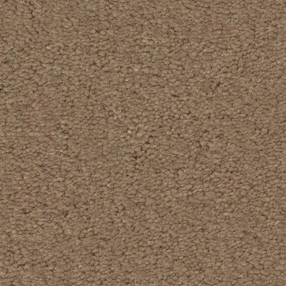 Anderson Tuftex Finery Carpet in Deer Path, , large