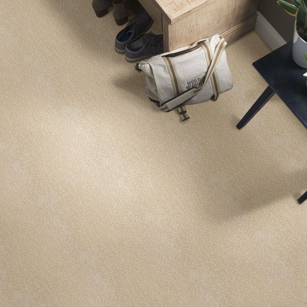 Anderson Tuftex Caress Tranquil Waters Carpet in Sahara, , large