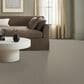 Anderson Tuftex Moderne Carpet in Ancient Street, , large