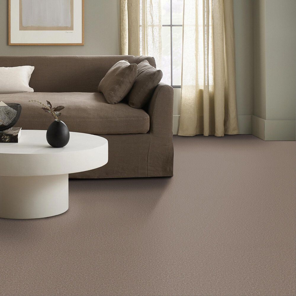 Shaw Imaginable II Carpet in Weathered, , large