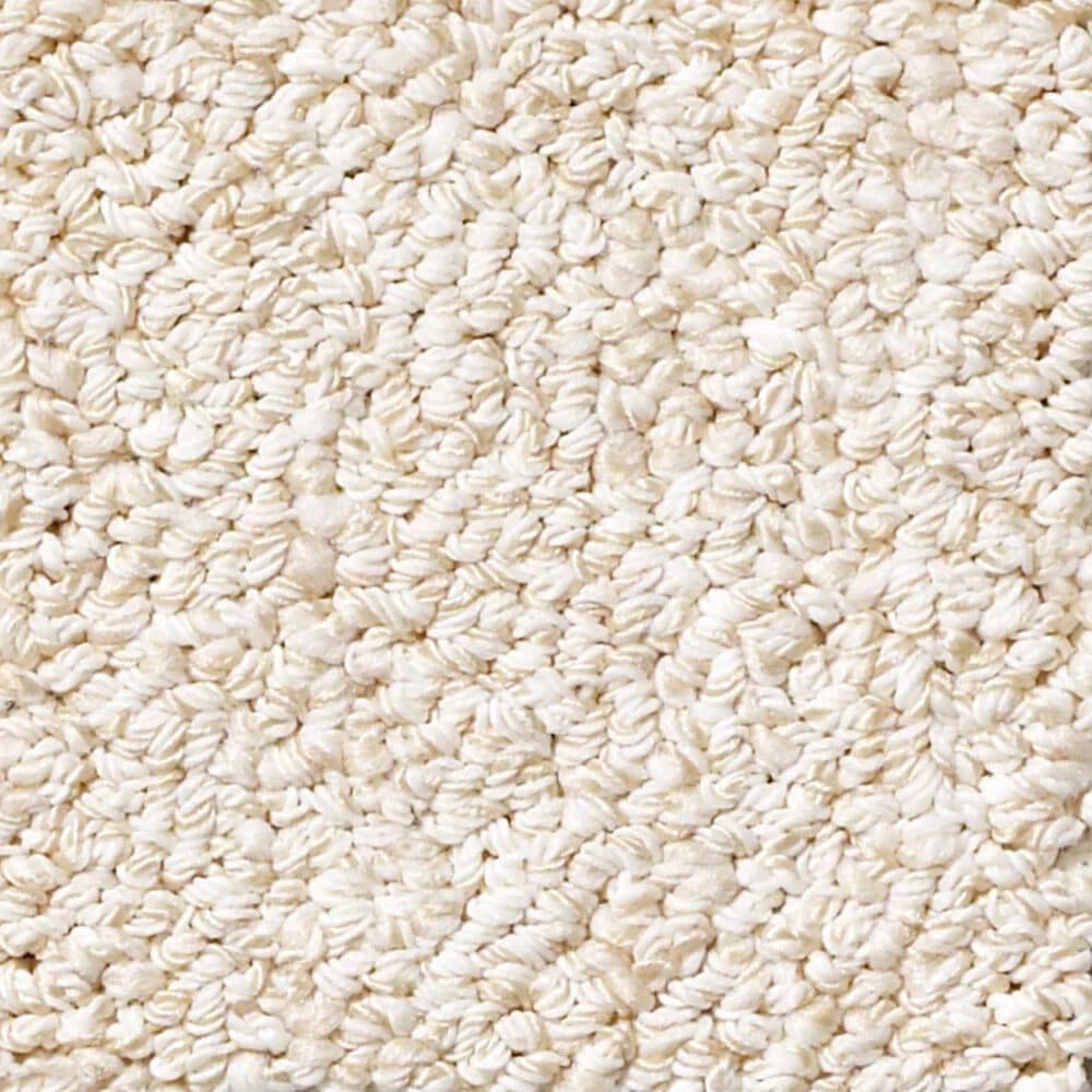 Anderson Tuftex Bali Carpet in Verona Beach, , large